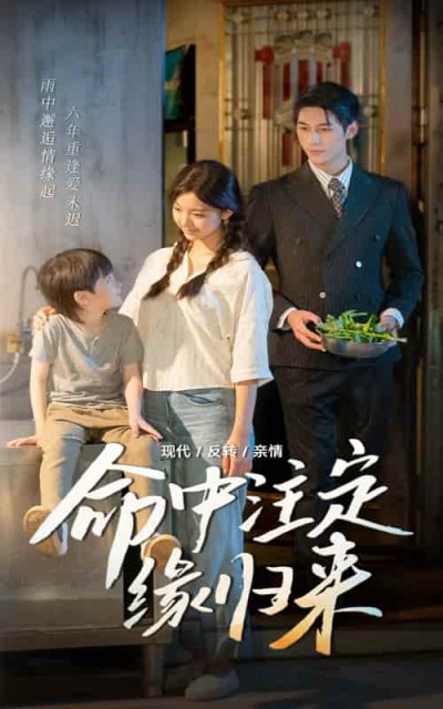 短剧《命中注定缘归来》完整版高清短剧免费看，在线全集任你选（大结局）