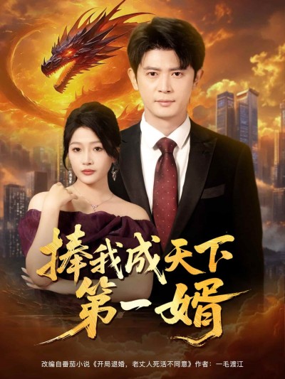 短剧《捧我成天下第一婿》4K 高清短剧全集免米看，完整版播放至大结局