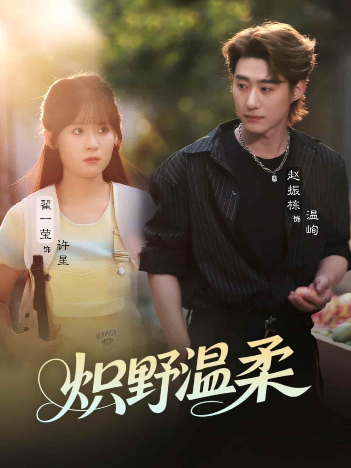 短剧《炽野温柔》免米观看 4K 高清短剧，全集未删减版无遗漏（后续）  第1张